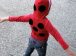 Homemade Ladybug Costume